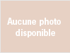 image_381853