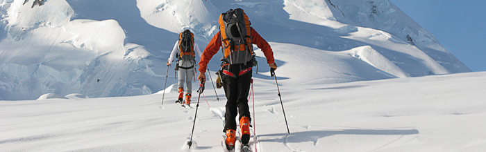 Expedition Reports
