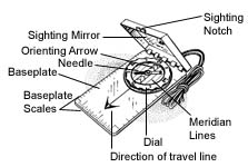 compass anatomy