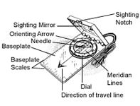 compass anatomy