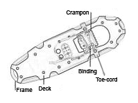 Snowshoe features