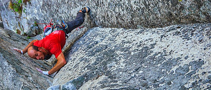 Pitch 3 of Teddy Bear's Picnic, 11c. Photo: Paul McSorely