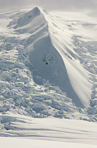 The Shark Fin! Photo: Andrew Wexler