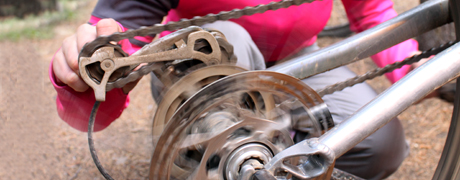 Gears and Brakes