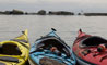 Paddlefest 2008 - Photo: David Parsons