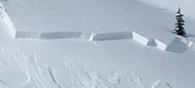 Avalanche Safety