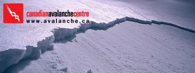 Avalanche Safety