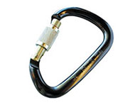 Petzl William Locking Biner
