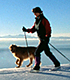 Nordic Skis