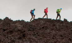 Big Wild Challenge