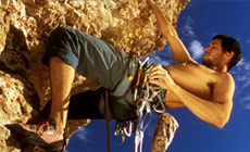 Choosing a Harness