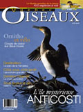 Québec oiseaux