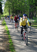 D&eacute;fi Transport