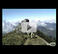 Concours de vid&eacute;os de grande nature PANORAMEC